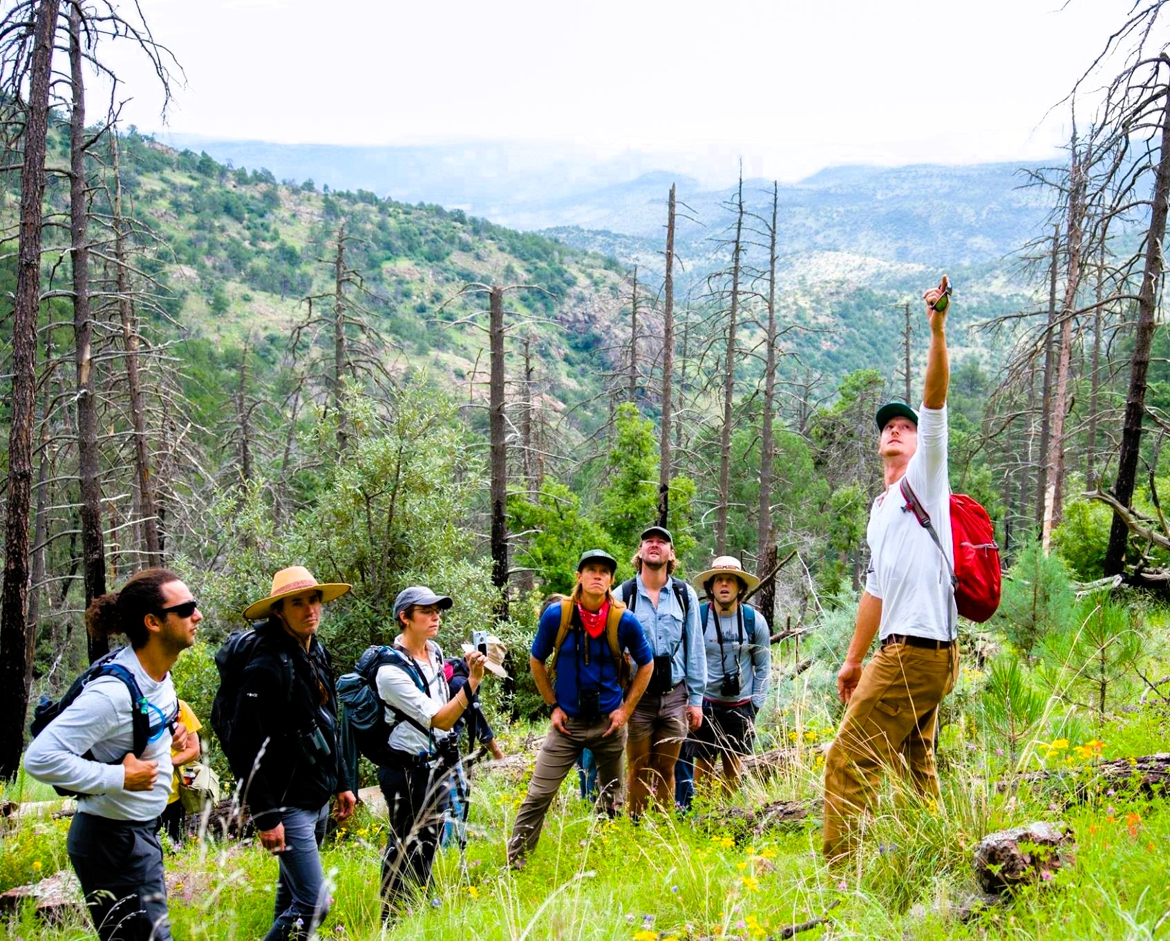 Guiding an interpretive hike on Mount Livermore of the Davis Mountains, one of the most remarkable "sky island" ecosystems in the southwestern US