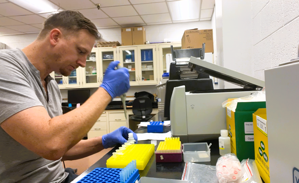 Performing DNA extractions on root samples with Zymo Plant/Seed DNA extraction kit in preparation for PCR and other downstream analysis