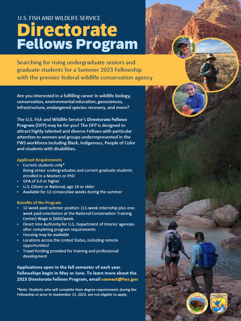 Directorate Fellows Program Brochure