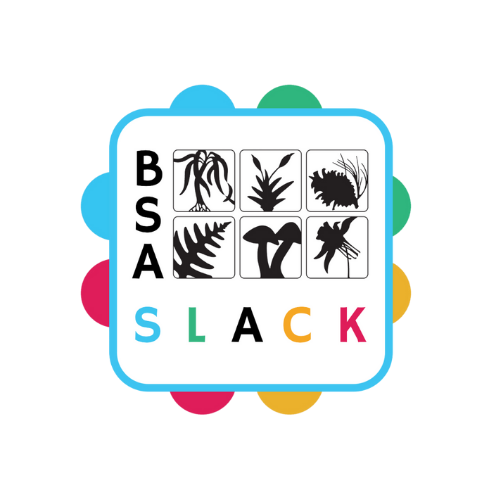 BSA Slack Icon