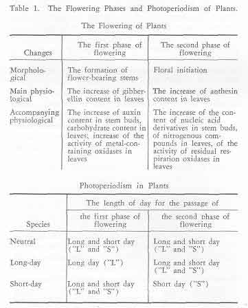 What are short-day and long-day plants?