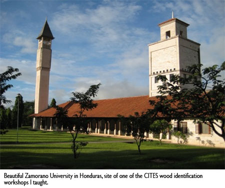 Dr. Alex C. Wiedenhoeft, Beautiful Zamorano University in Honduras, site of one of the CITES wood identification workshops I taught.