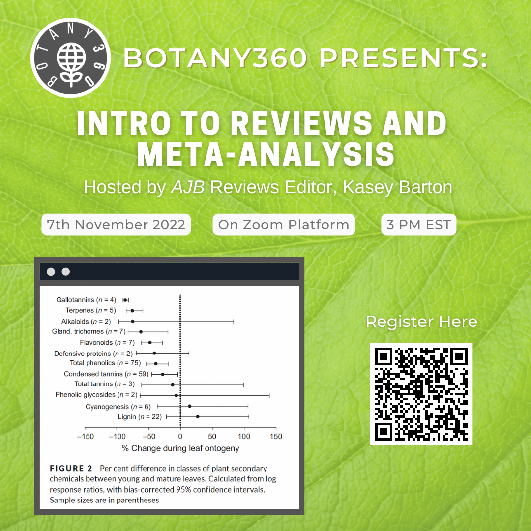 Intro to Reviews and Meta-Analysis Flyer