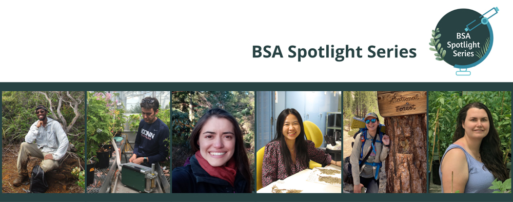 BSA Spotlight Series