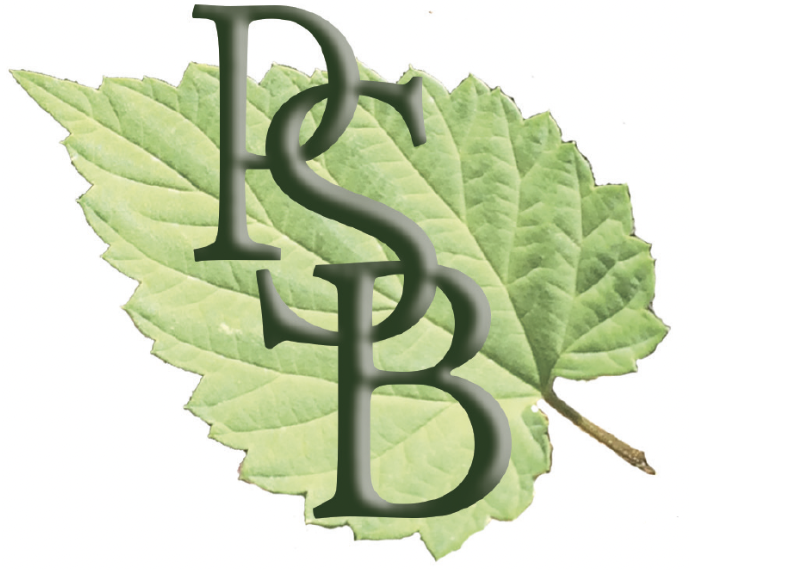 PSB Logo