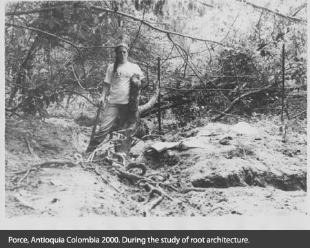 Tatiana Arias, Porce, Antioquia Colombia 2000. During the study of root architecture.