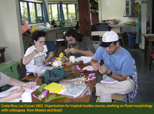 Tatiana Arias, Costa Rica, Las Cruces 2002. Organization for tropical studies                 course, working on floral morphology with colleagues from Mexico                 and Brazil.
