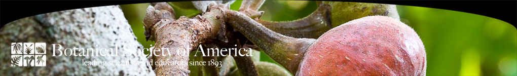 botanical society of america logo